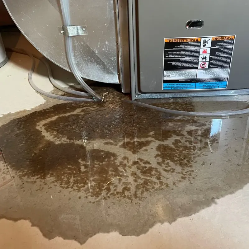 Pipe Burst and Leak Restoration in Layton, UT